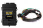 Preview: Elite 2500 T + Basic Universal Wire-in Harness Kit