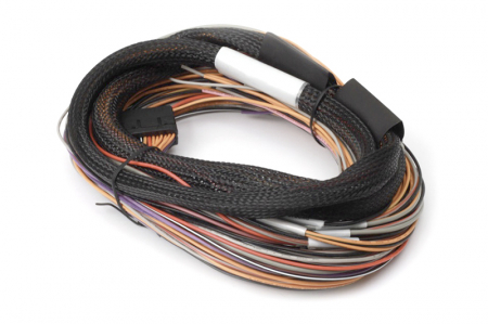 IO 12 Expander Flying Lead Harness