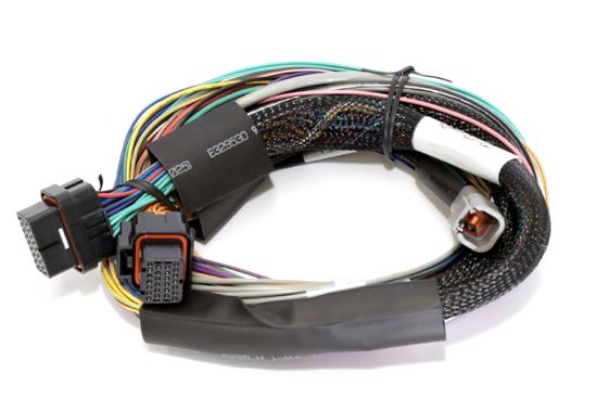 Elite 2000 Basic Universal Wire-in Harness