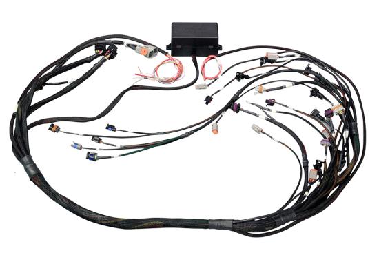 Elite 2500 GM GEN III LS1 & LS6 (DBW Retrofit Ready) Terminated Harness