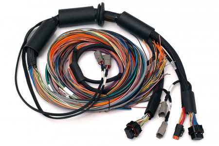 Nexus R3 Universal Wire-in Harness - 2.5m (8') Length: 2.5M