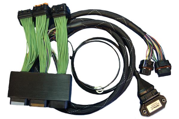 Elite 1000/1500 Dodge Neon SRT4 Plug n Play Adaptor Harness